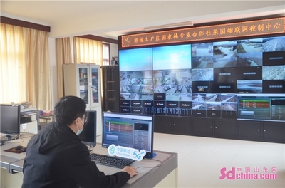 移動數(shù)智力量賦能特色高效農(nóng)業(yè) 以大戶莊園為例看物聯(lián)網(wǎng)設(shè)備銷售新機遇